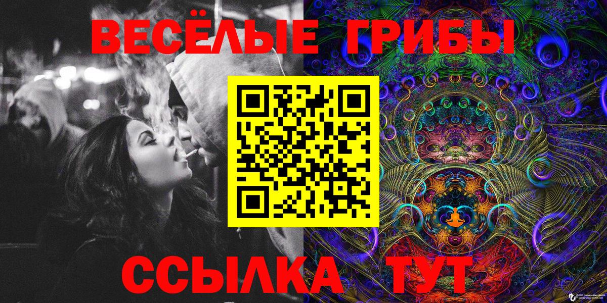 Псилоцибиновые грибы мухоморы  Псилоцибиновые грибы мухоморы  Вход с VPN  Славгород 
